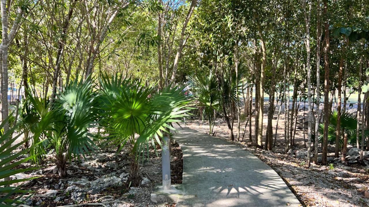 Kingulingu'S Cancun Apartament מראה חיצוני תמונה